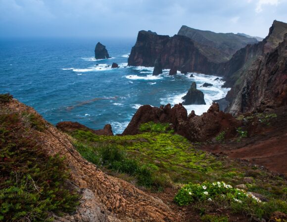 Tour Madeira