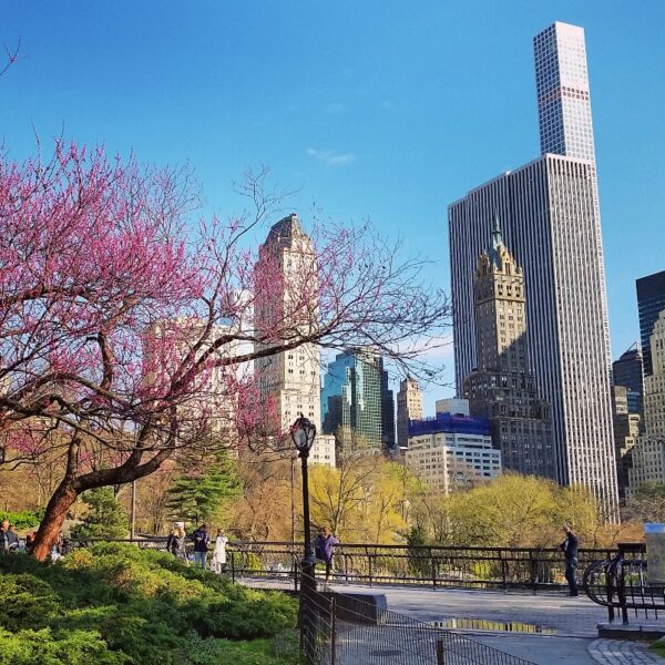 Central Park in primavera con vista sui grattacieli, New York, USA