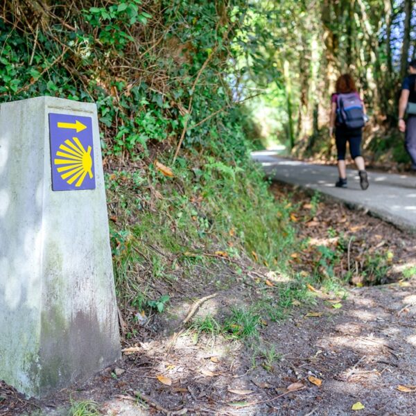 Indicazione lungo il percorso del Cammino di Santiago de Compostela, Galizia, Spagna