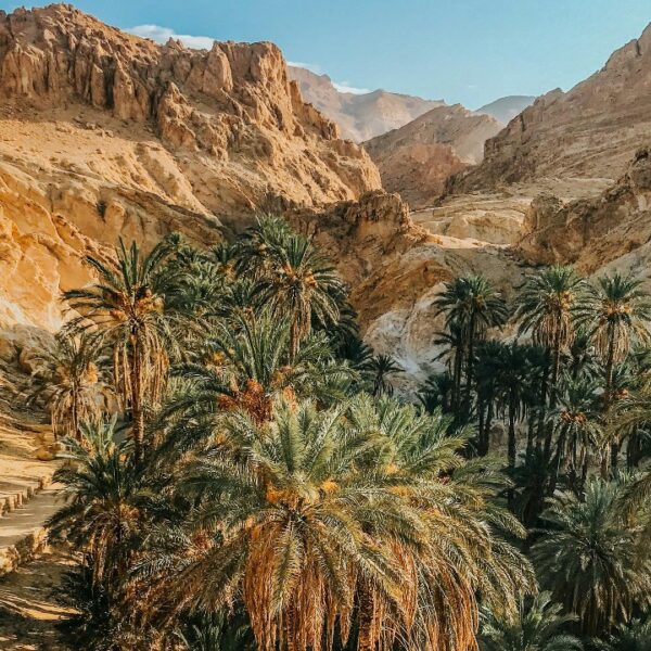 Oasi di Chebika nel deserto tunisino, Tunisia