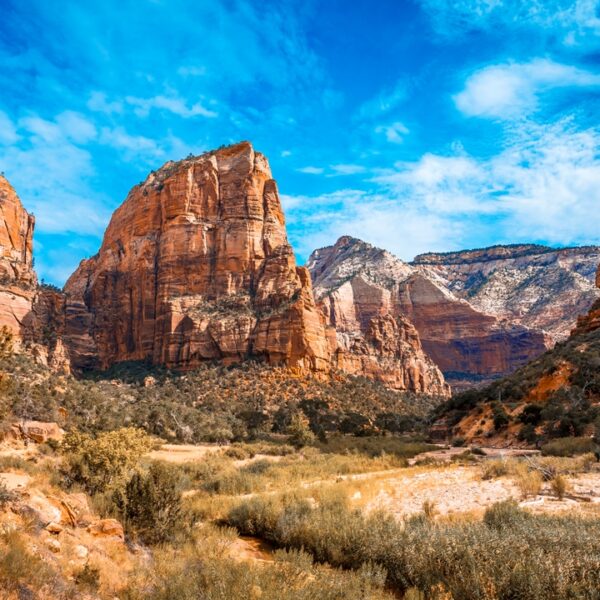 Monti di Angels Landing Trail nel Zion National Park, Utah, USA