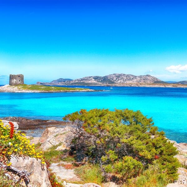 Spiaggia La Pelosa in Costa Smeralda, Sardegna