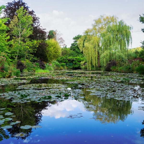 Stagno con ninfee a casa di Monet a Giverny, Normandia, Francia