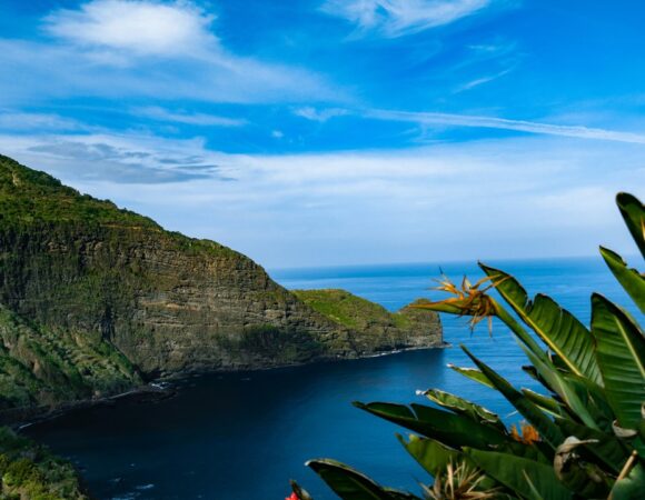 Tour Madeira