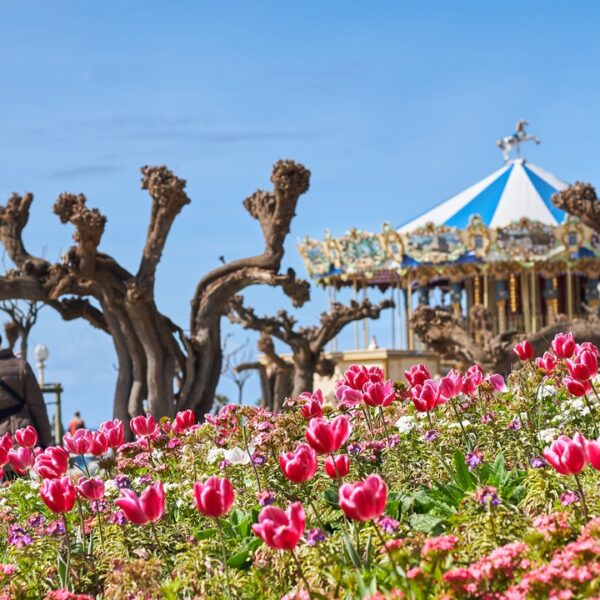 Giostra sul lungomare a Sanremo, con vasi di fiori