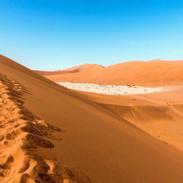 Dune rosse e vlei nel deserto del Namib, Namibia