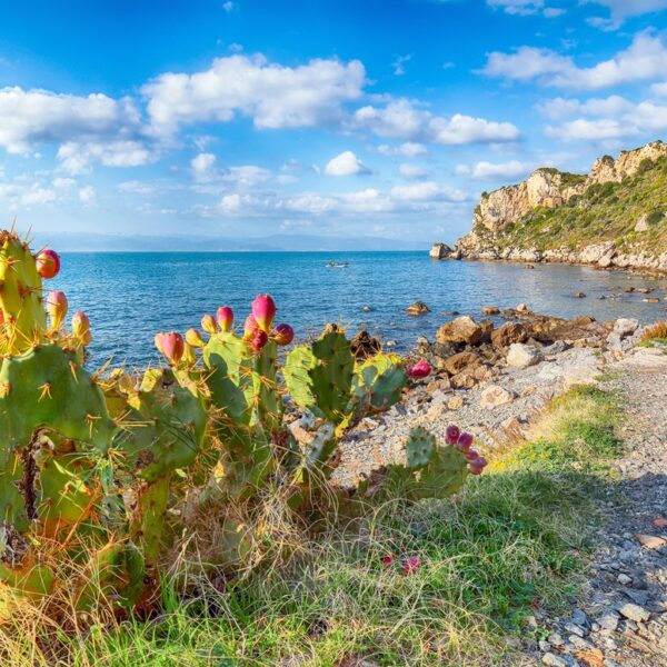 Panorama in primavera sul Mar Tirreno in Sicilia con fichi d'india in fiore